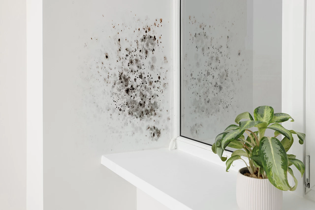 Como eliminar la humedad en el baño