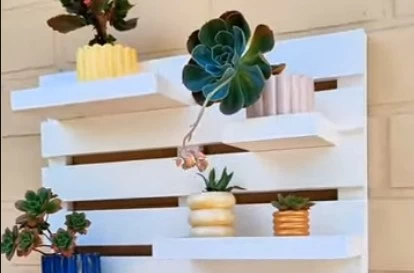 video.name