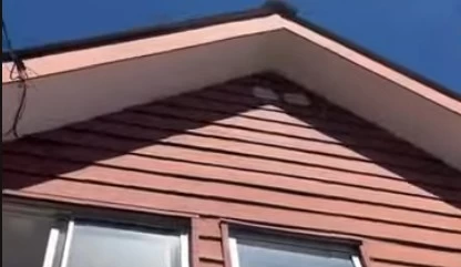 video.name